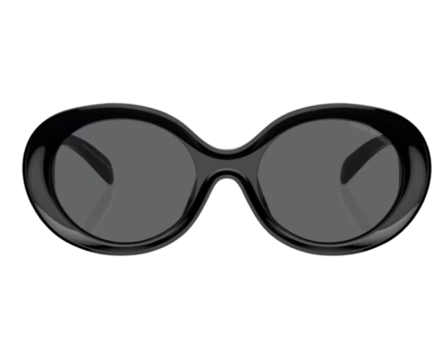Sunglasses Emporio Armani EA4231U