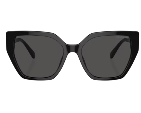 192324-Sunglasses Swarovski SK6016