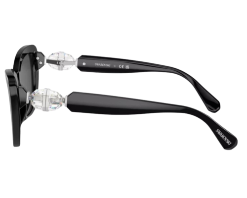 Lunettes de Soleil Swarovski SK6018