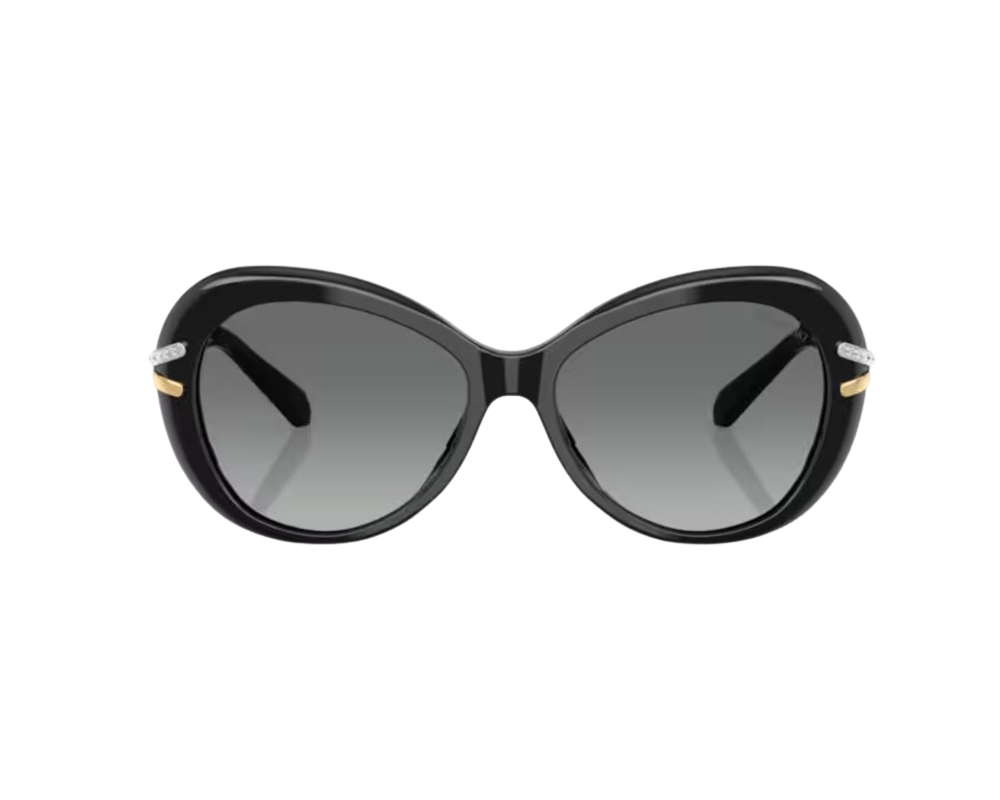 Lunettes de Soleil Swarovski SK6026