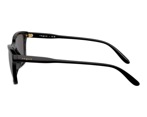 Vogue Brillen VO5551S Zonnebril