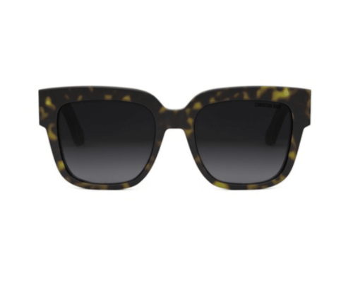 Dior DiorÉsille S1I Sunglasses