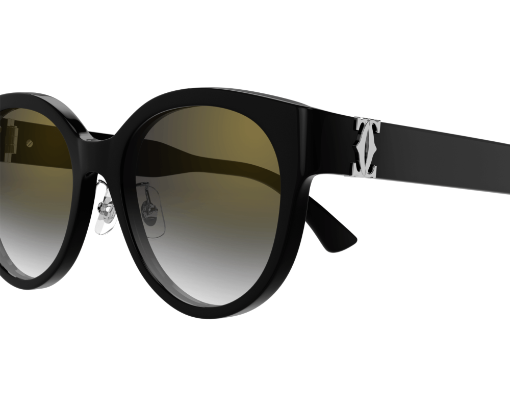 Lunette Cartier - Cartier Signature C CT0510SJ 001