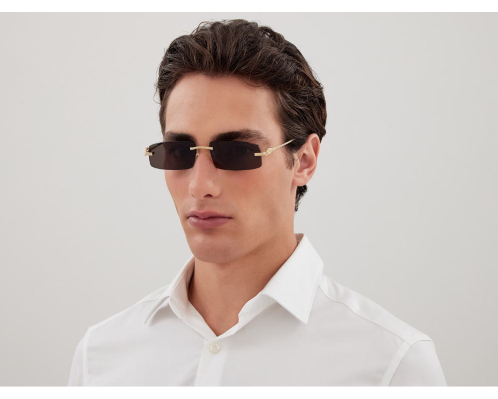 Lunettes de Soleil Cartier Panthère CT0505S