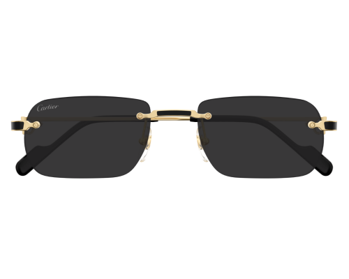 Lunettes de Soleil Cartier Exception CT0498S