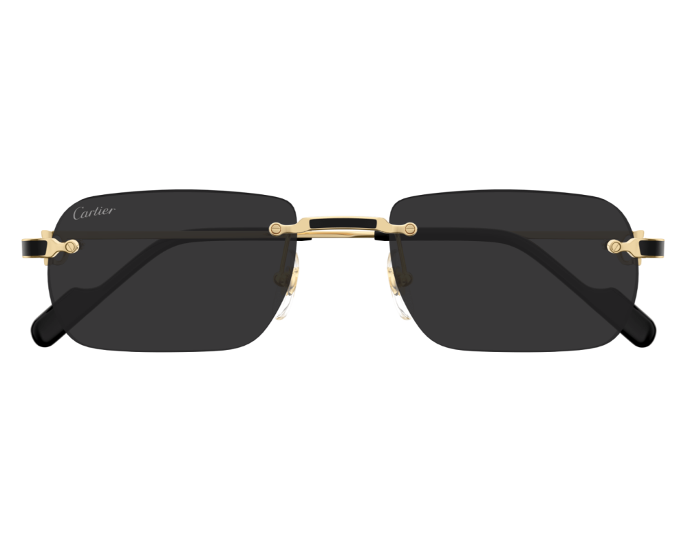 Cartier Exception zonnebril CT0498S