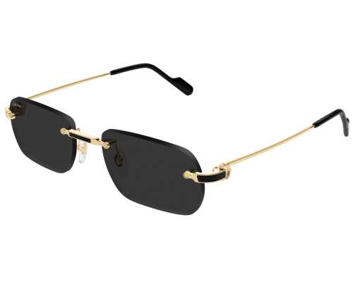Lunettes de Soleil Cartier Exception CT0498S