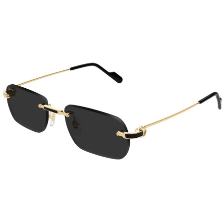 Lunettes de Soleil Cartier Exception CT0498S