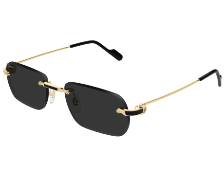 195255-Cartier Exception zonnebril CT0498S
