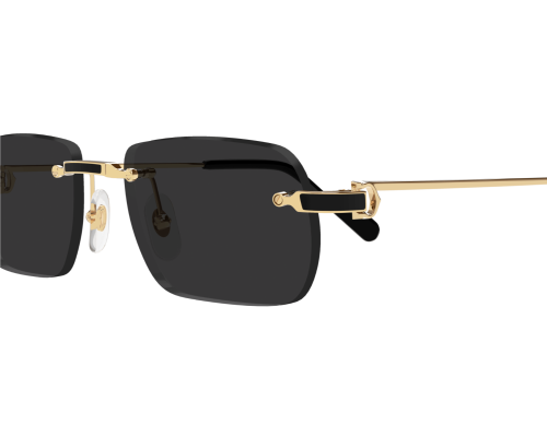 Cartier Exception zonnebril CT0498S