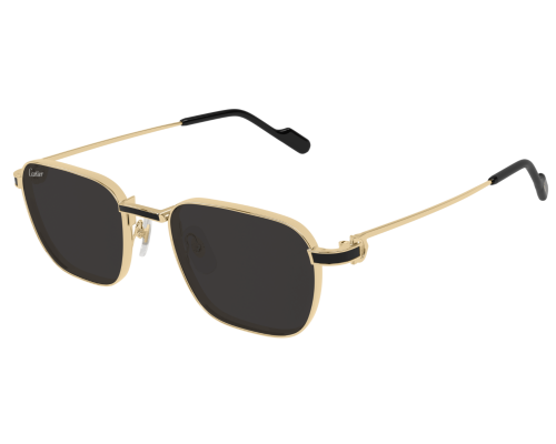 Lunette Cartier - Cartier Exception CT0497S