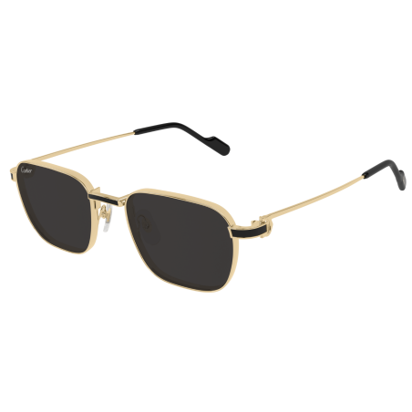 Lunettes de Soleil Cartier Exception CT0497S