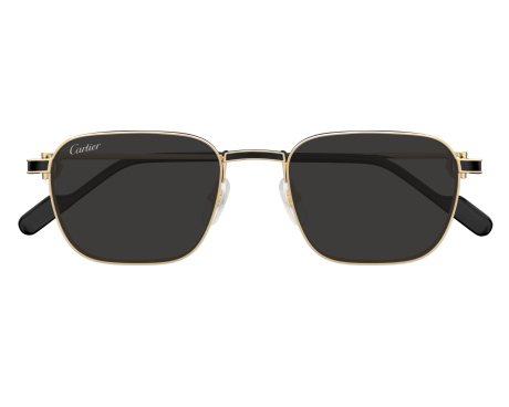 195274-Cartier Bezel - Cartier Uitzondering CT0497S