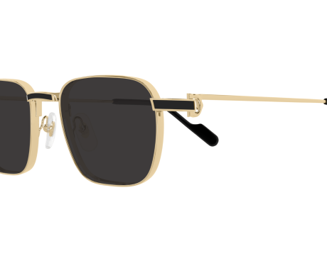 195276-Lunette Cartier - Cartier Exception CT0497S