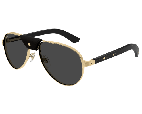 Lunette Cartier - Cartier Santos CT0495S 001