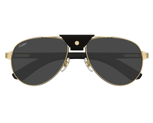 Lunette Cartier - Cartier Santos CT0495S 001