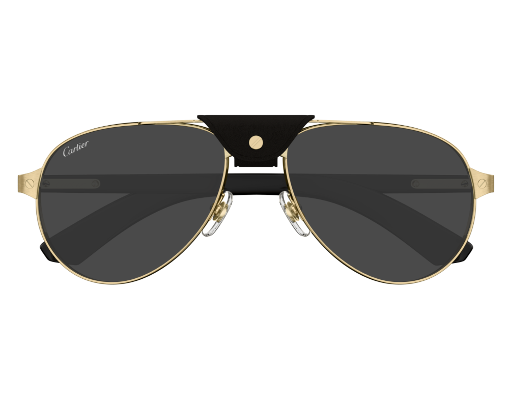 Lunette Cartier - Cartier Santos CT0495S 001
