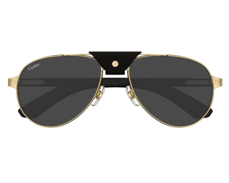 195406-Lunette Cartier - Cartier Santos CT0495S 001