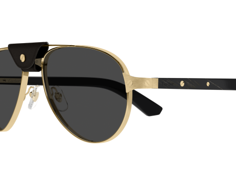 195407-Lunette Cartier - Cartier Santos CT0495S 001