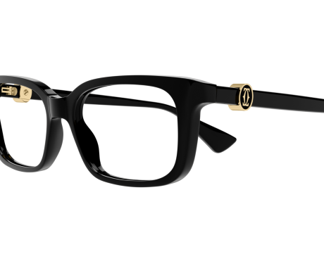 195486-Cartier Handtekening C CT0525O Bril