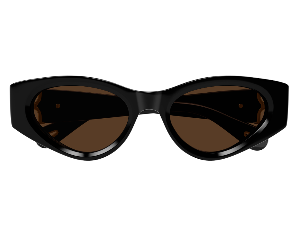 Sunglasses Chloé CH0259S