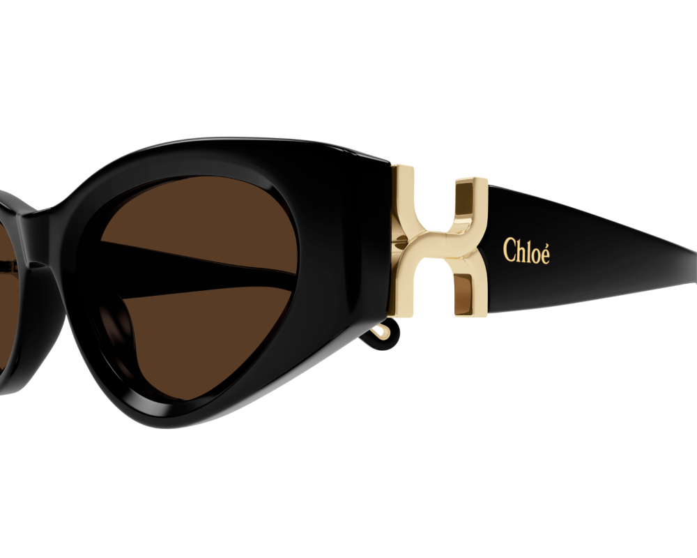 Sunglasses Chloé CH0259S