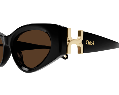 199207-Sunglasses Chloé CH0259S