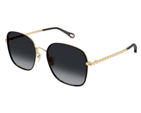 199301-Sunglasses Chloé CH0255SK