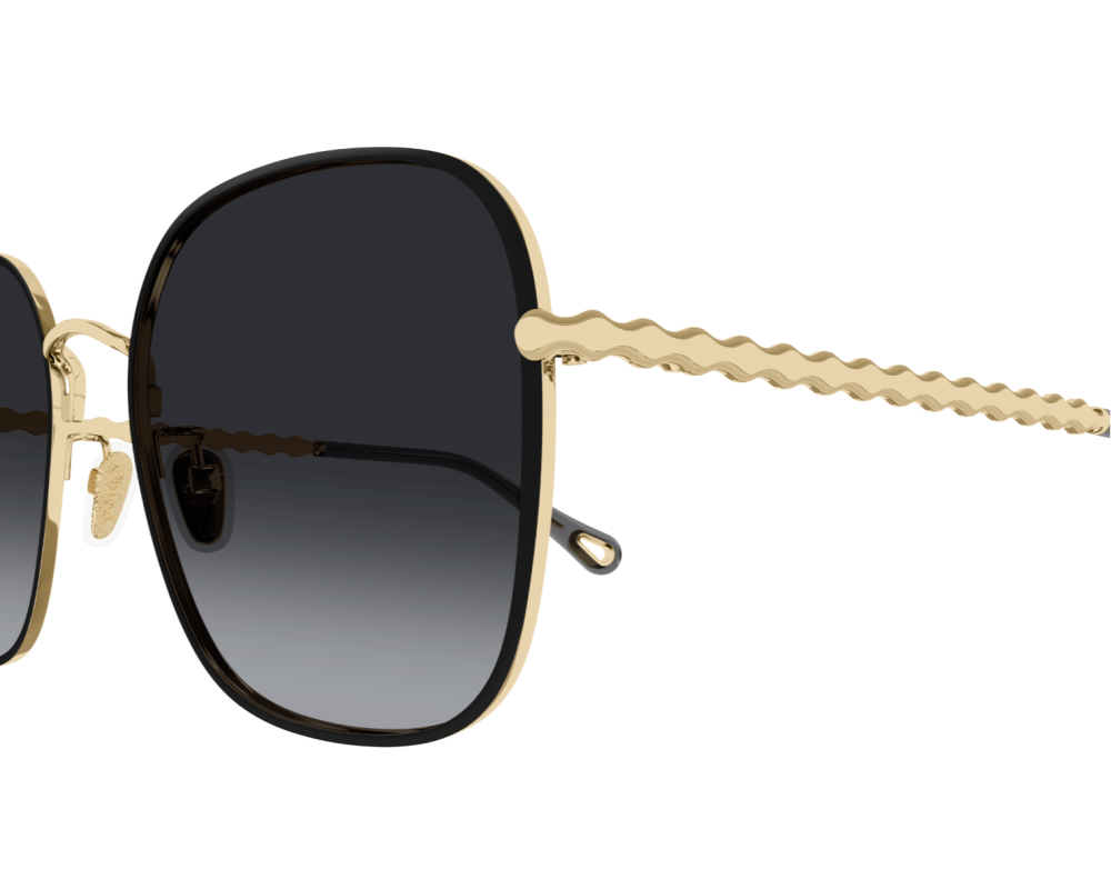 Sunglasses Chloé CH0255SK