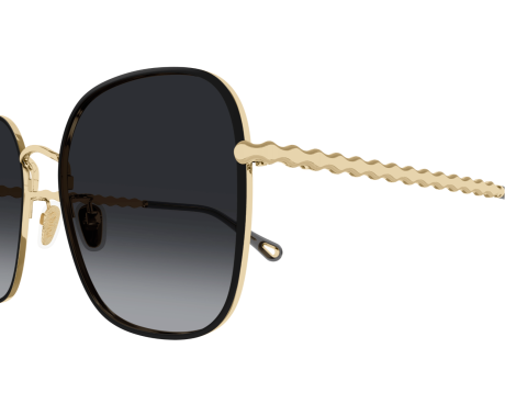 199302-Sunglasses Chloé CH0255SK