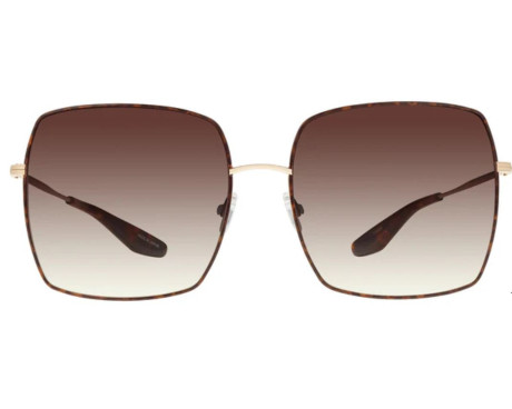 203713-Lunettes de Soleil Barton Perreira Folasade