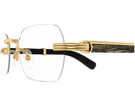 204020-Lunettes de vue Cartier EXCEPTION CT0377O