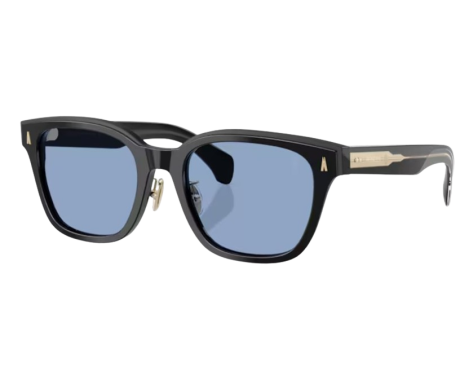 204880-Moncler Metrope Zonnebril ME6002D
