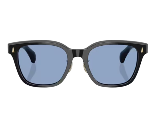 Moncler Metrope Zonnebril ME6002D