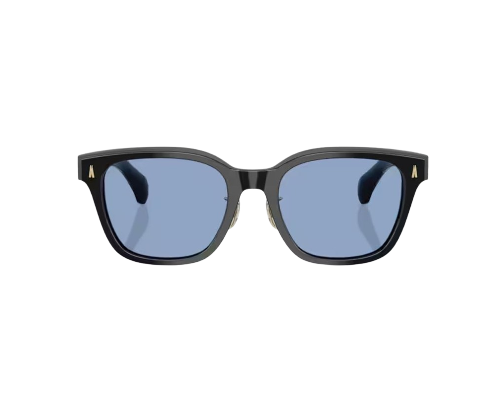 Moncler Metrope Zonnebril ME6002D