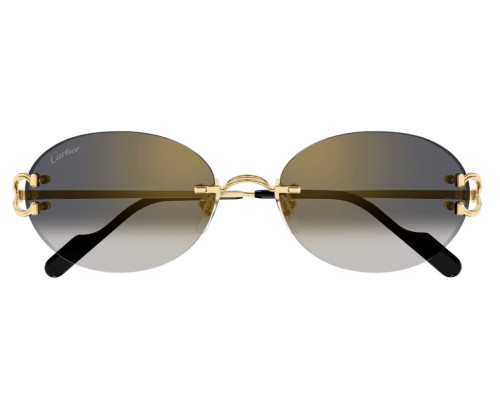 Lunettes de Soleil Cartier Core Range CT0551S