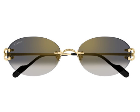 212308-Lunettes de Soleil Cartier Core Range CT0551S