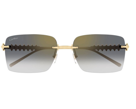 212419-lunette Cartier - Cartier Clash CT0545S 001 - Celine Roland