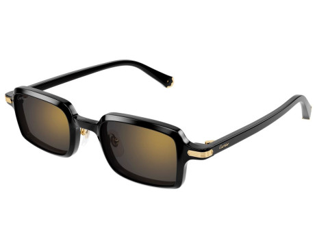 212475-Lunette Cartier - Cartier Première CT0539S 001