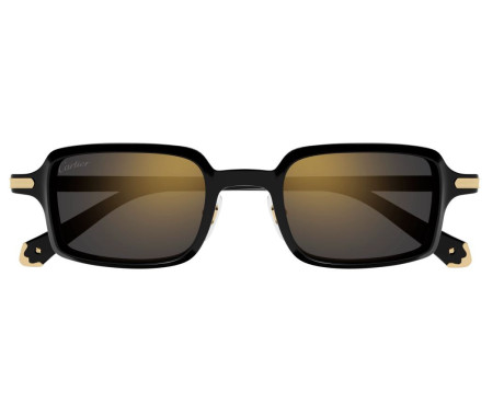 212476-Lunette Cartier - Cartier Première CT0539S 001