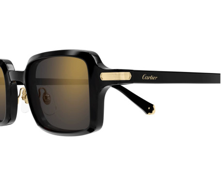 212477-Lunette Cartier - Cartier Première CT0539S 001