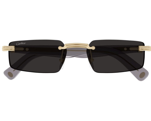 Lunette Cartier - Cartier Première CT0537S 001