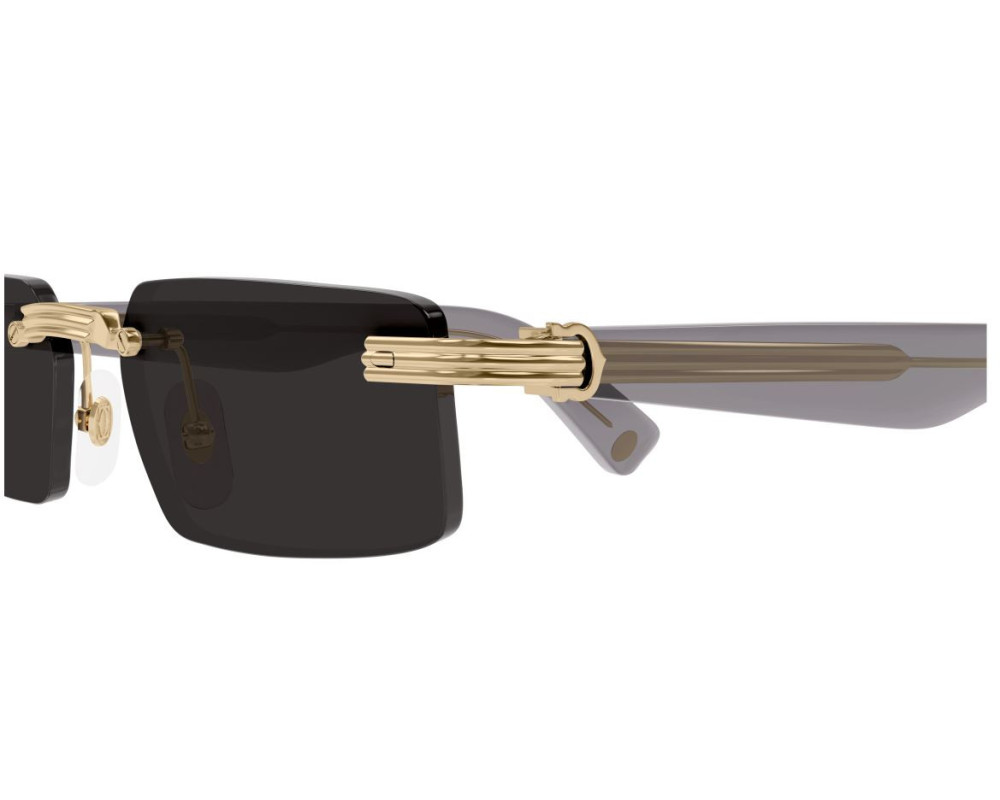 Lunette Cartier - Cartier Première CT0537S 001