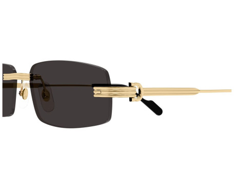 212538-lunette Cartier - Cartier Première CT0535S 001