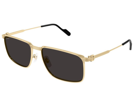 212551-lunette Cartier - Cartier Première CT0534S 001 - Celine Roland
