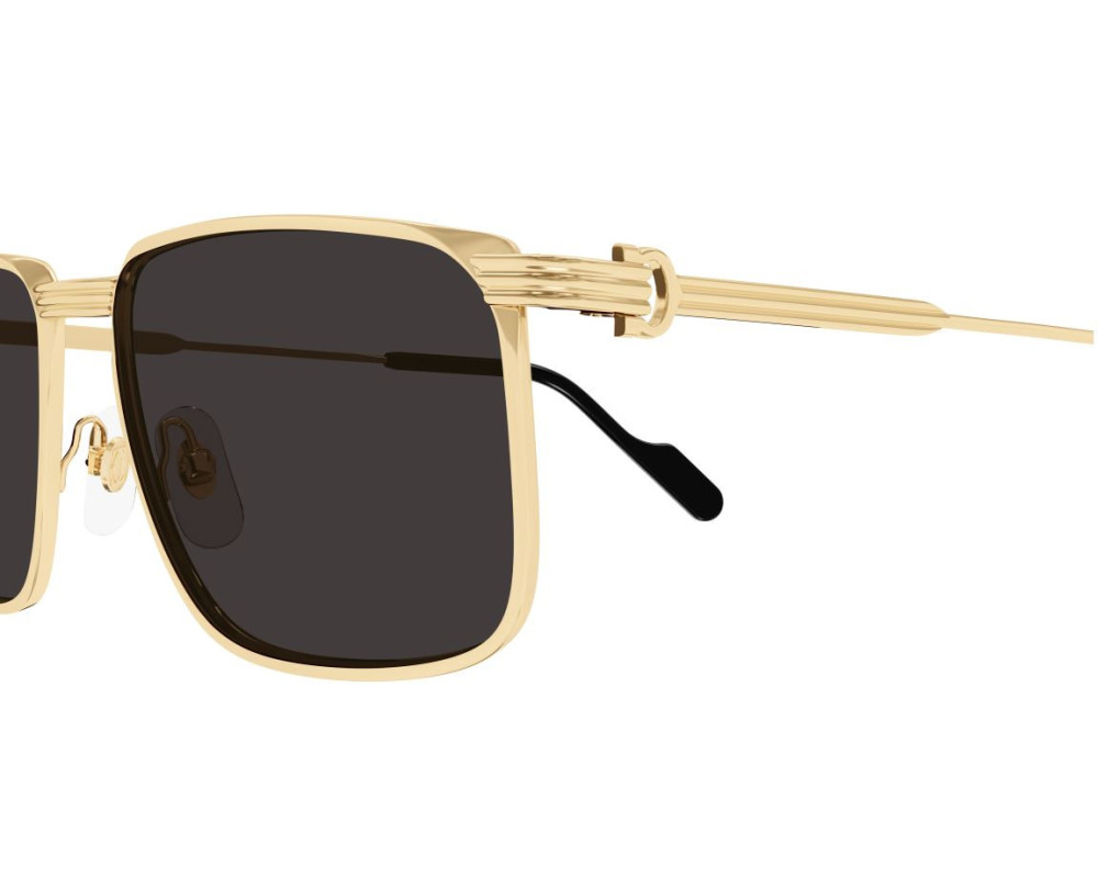 lunette Cartier - Cartier Première CT0534S 001 - Celine Roland