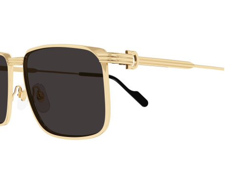 212553-lunette Cartier - Cartier Première CT0534S 001 - Celine Roland