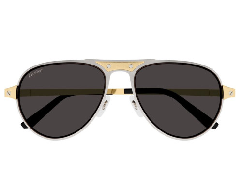 Lunette Cartier - Cartier Santos CT0533S 001