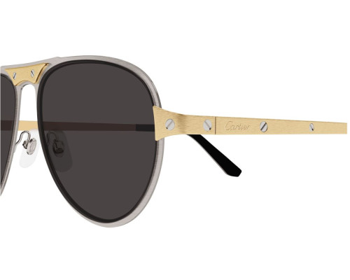 Lunette Cartier - Cartier Santos CT0533S 001