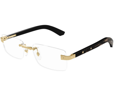 212825-Cartier Santos CT0513O Bril